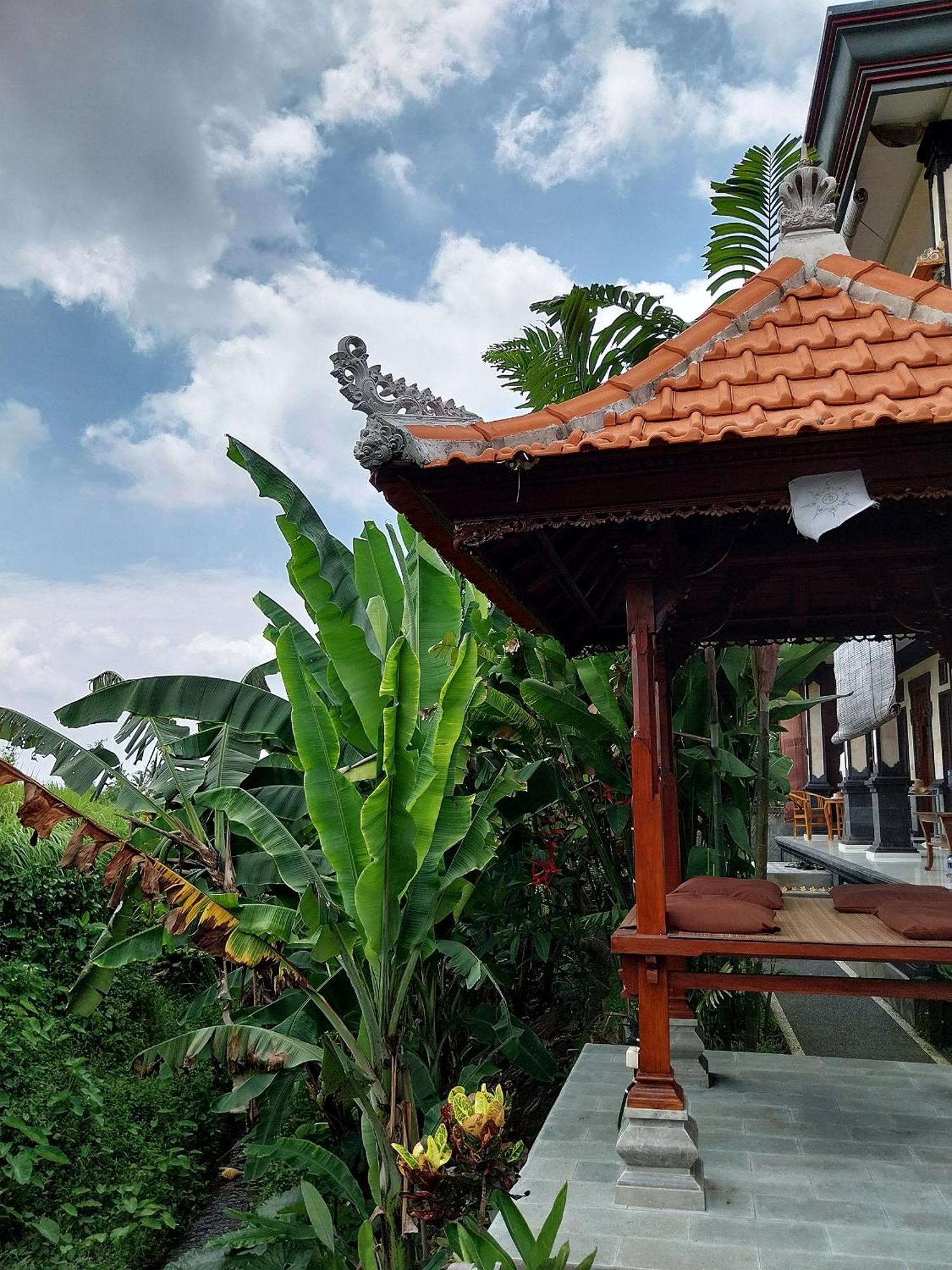 Puri Prana Guest House Ubud Dış mekan fotoğraf