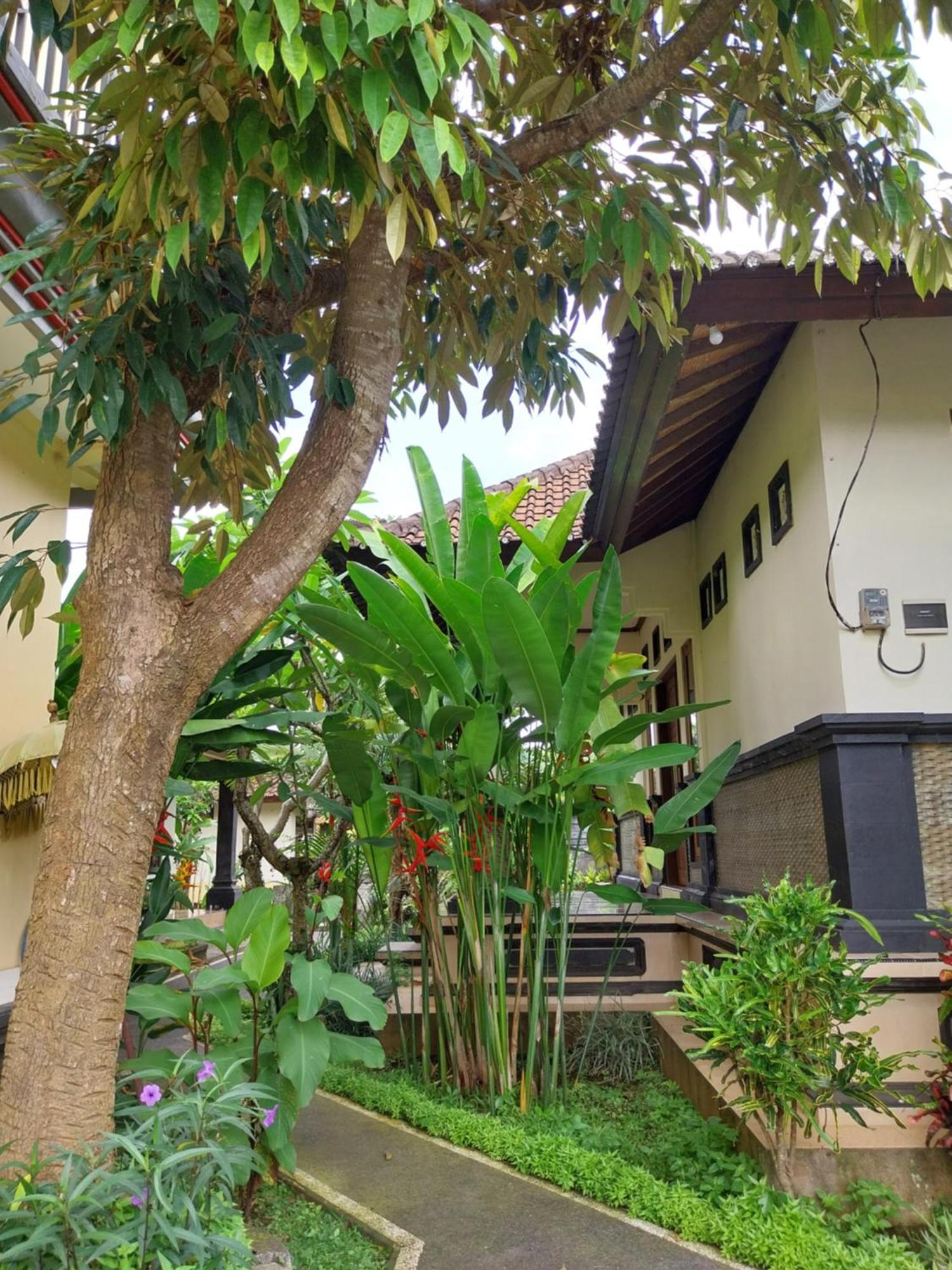 Puri Prana Guest House Ubud Dış mekan fotoğraf